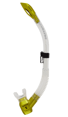 Spectra Snorkle
